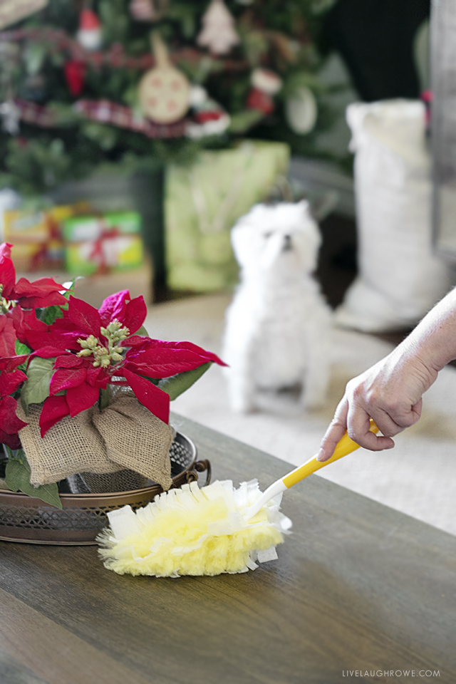 #DontSweatYourPet this holiday season! Pet friendly holidays and less stress are key with Swiffer Green. Learn why at livelaughrowe.com #SwifferFanatic #ad