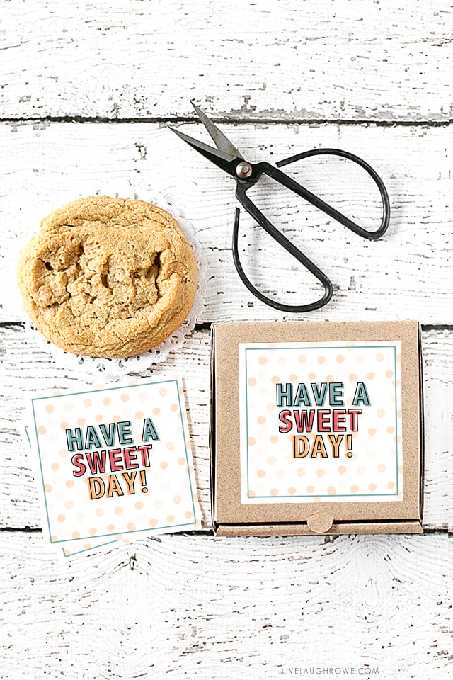 Stop the cuteness! These cookie gifts are too cute for words. One for Valentine's Day and one to use as a "Just Because" gift -- using mini pizza boxes. Print your cookie tags at livelaughrowe.com