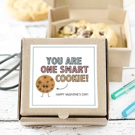 Stop the cuteness! These cookie gifts are too cute for words. One for Valentine's Day and one to use as a "Just Because" gift -- using mini pizza boxes. Print your cookie tags at livelaughrowe.com