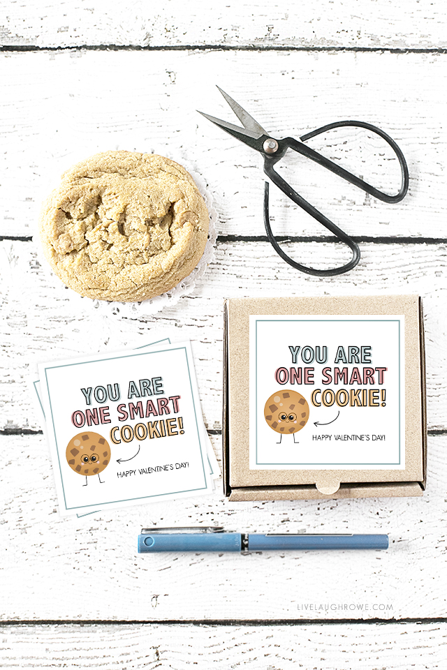 Stop the cuteness! These cookie gifts are too cute for words. One for Valentine's Day and one to use as a "Just Because" gift -- using mini pizza boxes. Print your cookie tags at livelaughrowe.com