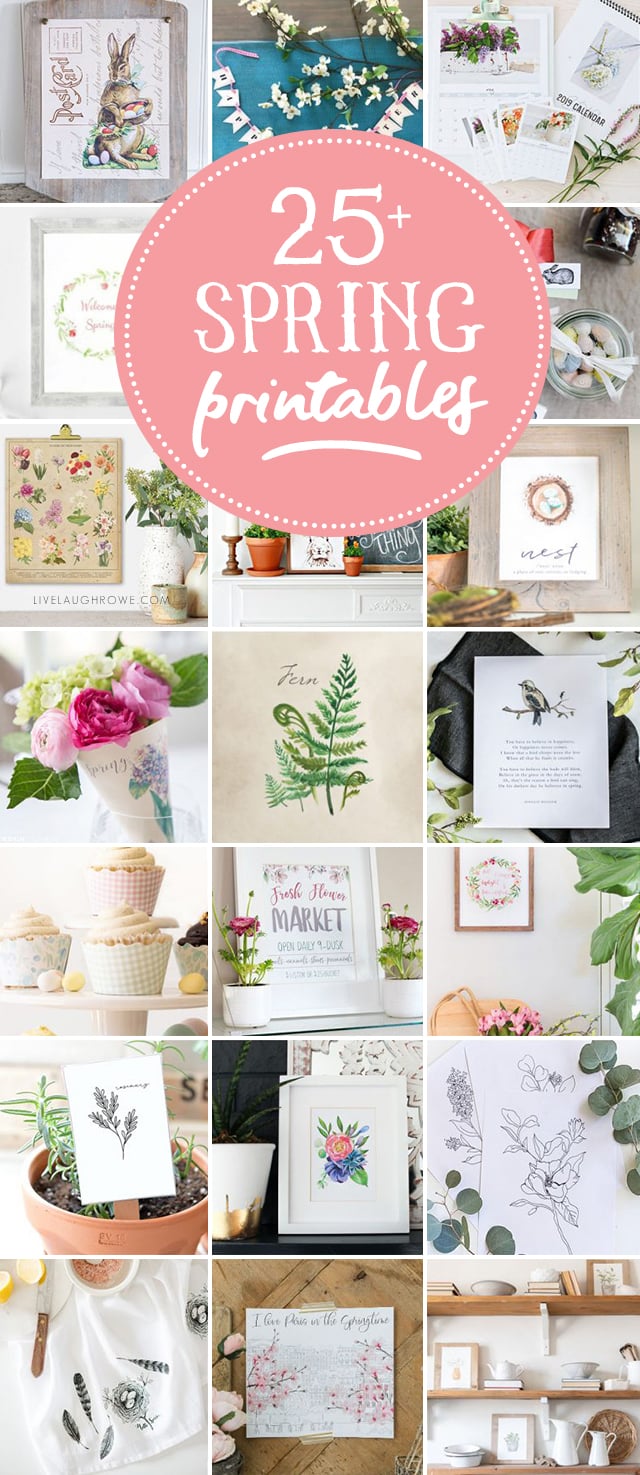 25+ FREE Spring Printables -- so many to choose from! Vintage inspired, cupcake wrappers and MORE! livelaughrowe.com