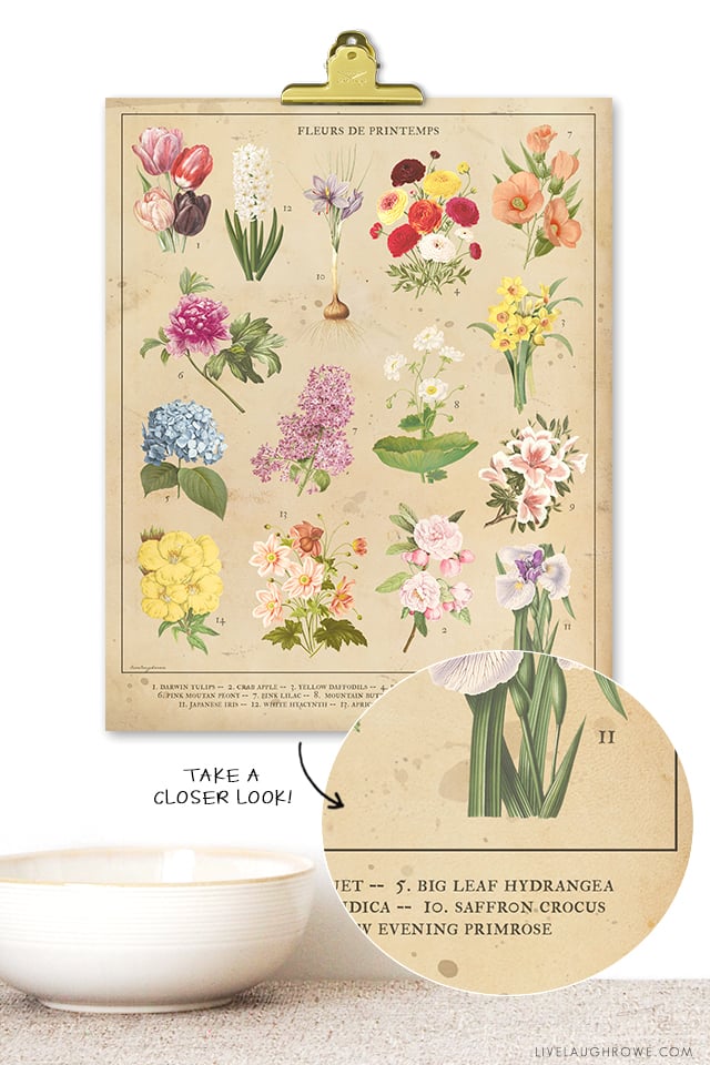 Beautiful Vintage Inspired 8x10 Botanical Spring Flowers Printable. Print one for you and a friend at livelaughrowe.com. #springprintable #botanical