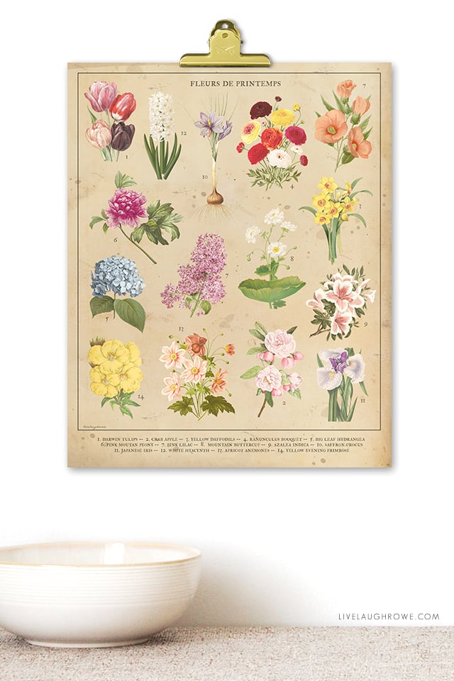 Beautiful Vintage Inspired 8x10 Botanical Spring Flowers Printable. Print one for you and a friend at livelaughrowe.com. #springprintable #botanical