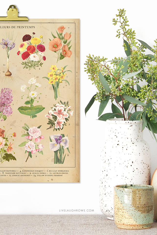 Beautiful Vintage Inspired 8x10 Botanical Spring Flowers Printable. Print one for you and a friend at livelaughrowe.com. #springprintable #botanical