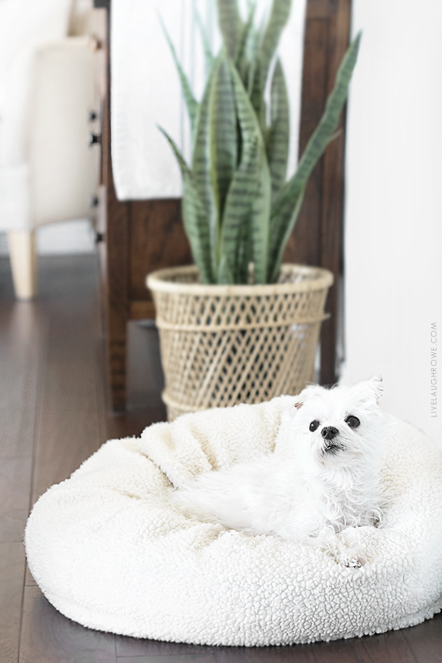 Simple Decor Updates with Thrift Store Finds. For example, this beautiful bohemian basket that was perfect for a plant holder! Find more inspiration at livelaughrowe.com