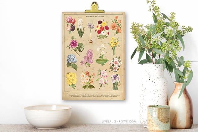 Beautiful Vintage Inspired 8x10 Botanical Spring Flowers Printable. Print one for you and a friend at livelaughrowe.com. #springprintable #botanical