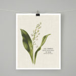 Sweet and simple 8x10 printable with lily of the valley and a May quote that is perfect for all the May babies out there -- and it makes a great gift too! Print yours at livelaughrowe.com