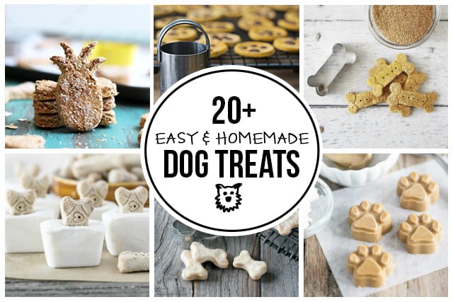 20+ Easy Homemade Dog Treats for you to make and spoil your little pooches! More at livelaughrowe.com