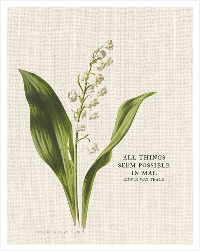 Sweet and simple 8x10 printable with lily of the valley and a May quote that is perfect for all the May babies out there -- and it makes a great gift too! Print yours at livelaughrowe.com