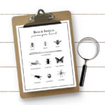 Heading to the park or nature center this summer? This Bug Scavenger Hunt for Kids should keep them busy as they hunt down these bugs and insects. Free printable at livelaughrowe.com #scavengerhunt #printable #kidsactivity
