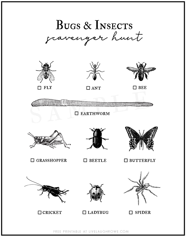 Heading to the park or nature center this summer? This Bug Scavenger Hunt for Kids should keep them busy as they hunt down these bugs and insects. Free printable at livelaughrowe.com #scavengerhunt #printable #kidsactivity