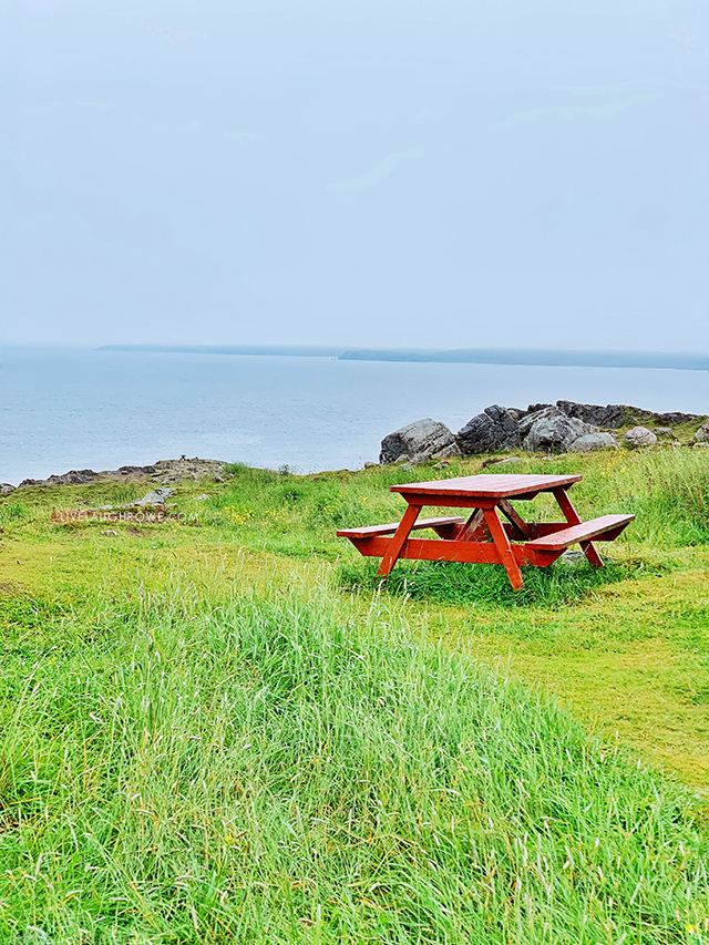 Lighthouse Picnic view in Ferryland, Newfoundland and Labrador, Canada. Learn more at livelaughrowe.com