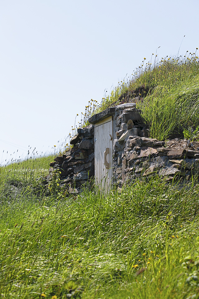 Root Cellar amongst the rolling hills of Elliston, Newfoundland. Picture courtesy of livelaughrowe.com