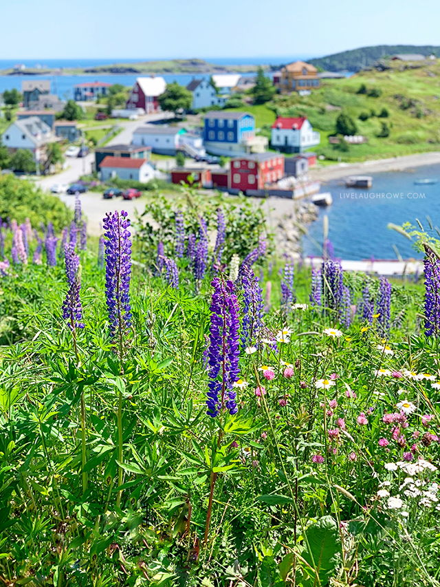 The beautiful and quaint town of Trinity in NL, Canada. More pics at livelaughrowe.com