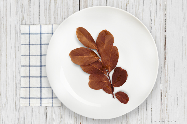 Leaves on Plate