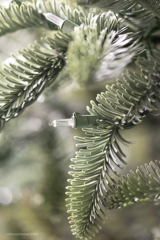 Branch and Lights of Balsam Hill Tree