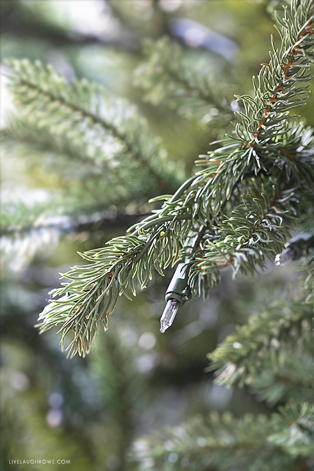 Branch and Lights of Faux Christmas Tree