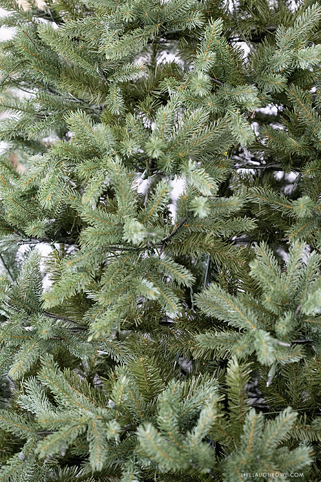 Noble Fir Tree Branches