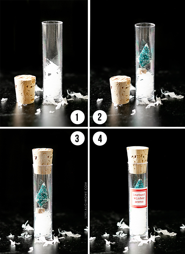 Test Tube Craft