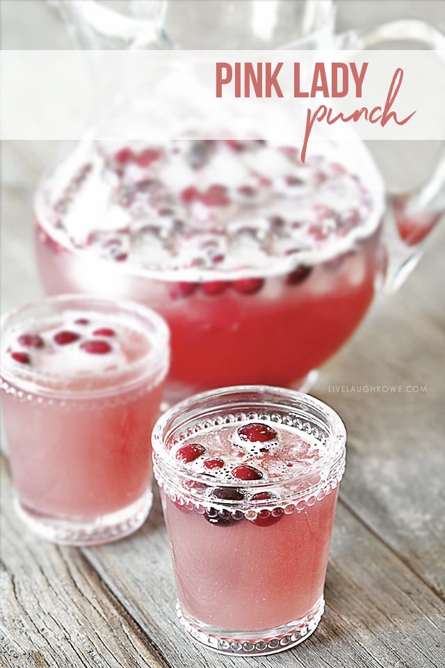 Pink Lady Punch with Cranberries