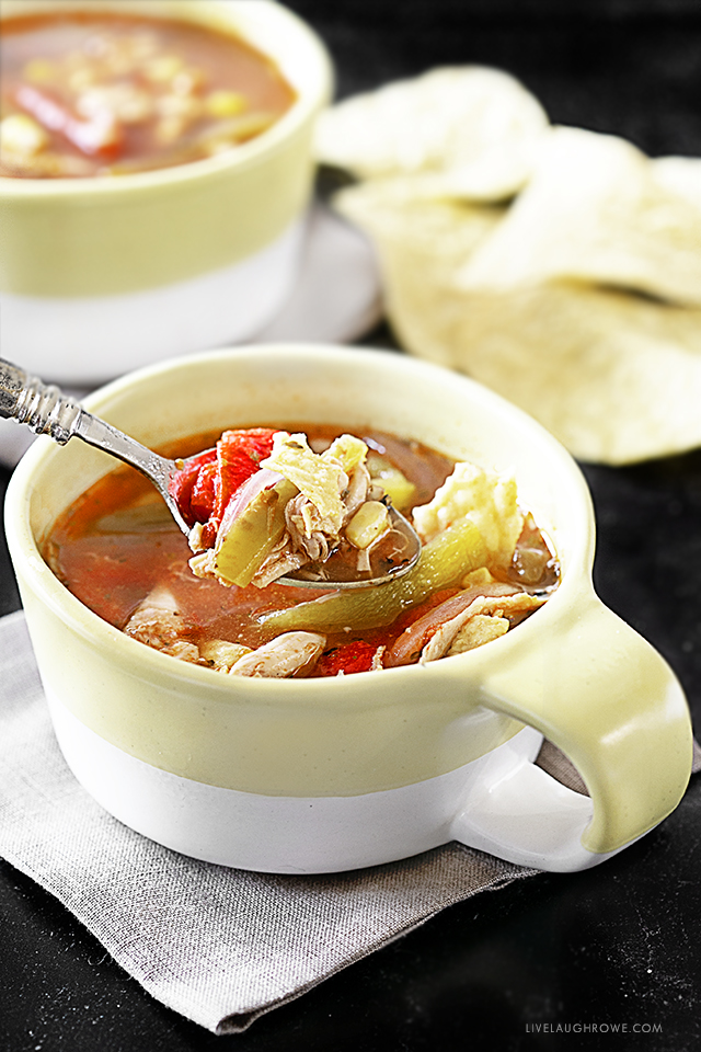 Spoonful of Chicken Tortilla Soup