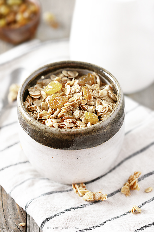 Healthy Homemade Granola in a bowl