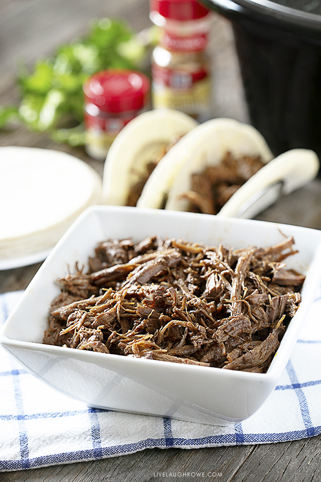 Bowl of Shredded Beef