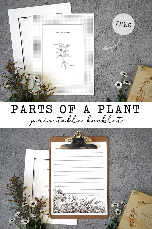 Parts Of A Plant For Kids Printable Booklet Live Laugh Rowe
