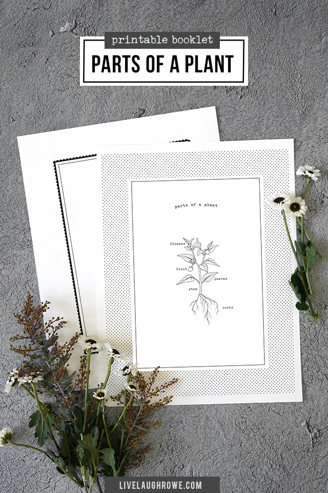 Parts Of A Plant For Kids Printable Booklet Live Laugh Rowe
