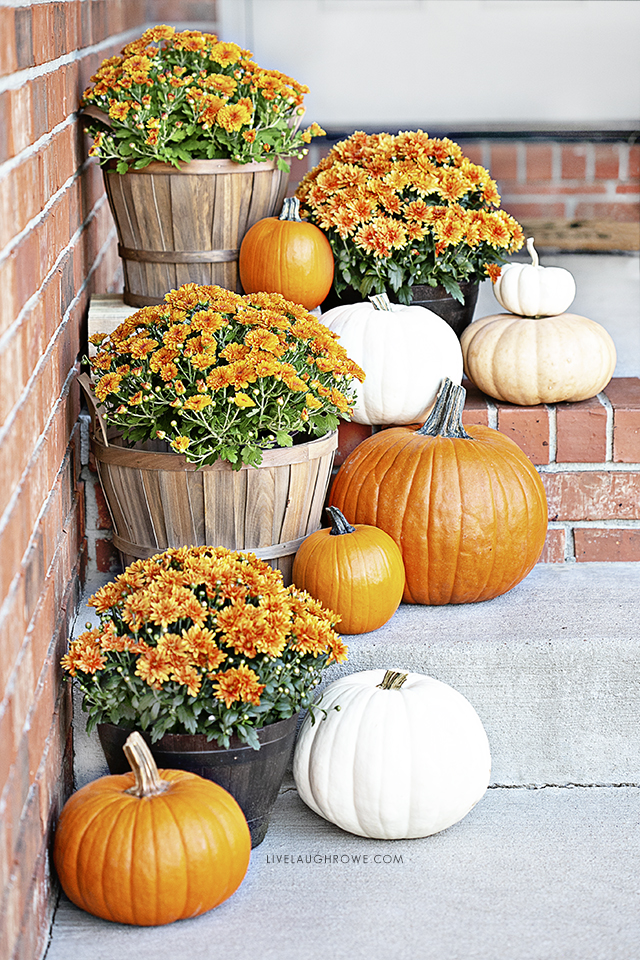 Pumpkins and Mums. Fall Porch Decor