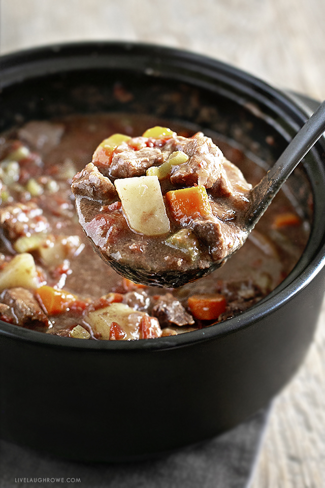 Ladle of Oven Beef Stew