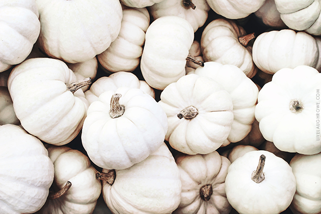 White Pumpkins