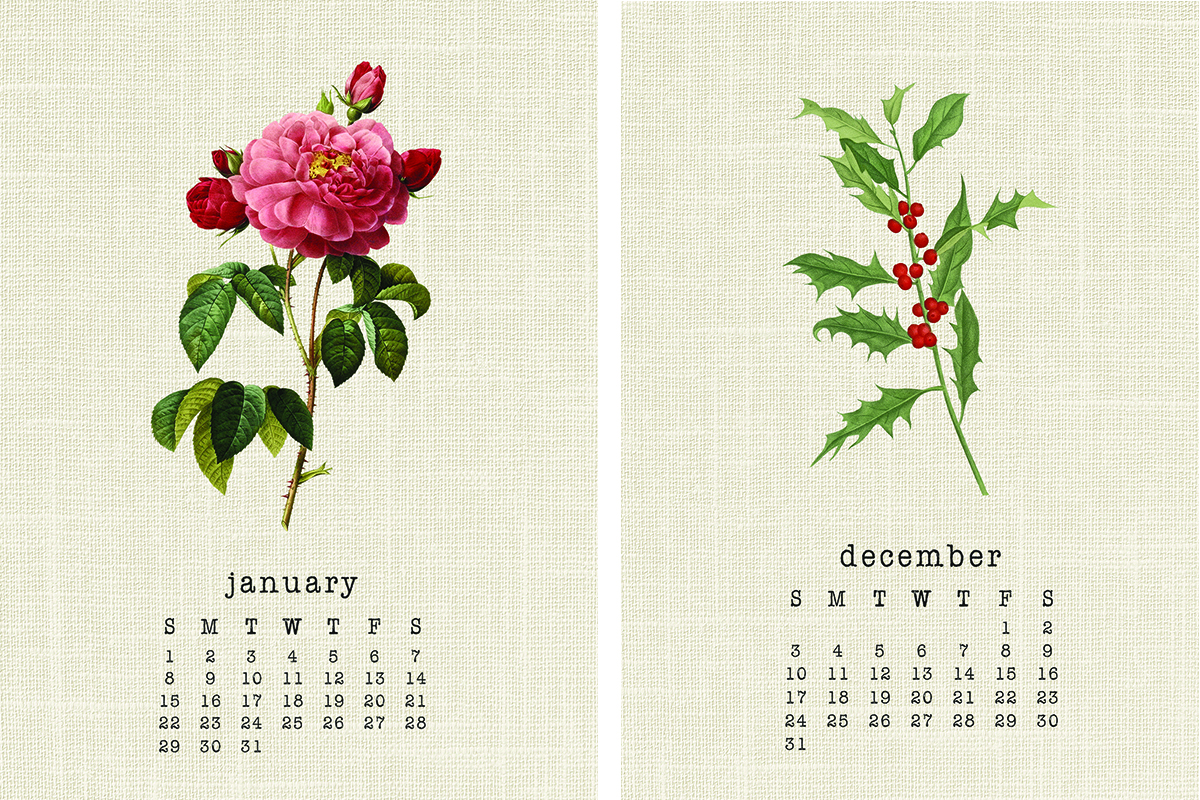 Side by Side Botanical Calendars