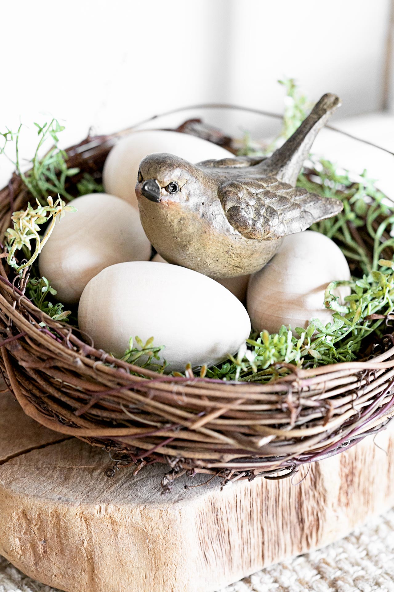 Bird in Nest. Spring Vignette