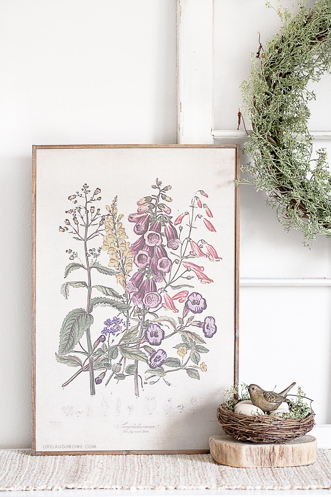 Botanical Print in Spring Vignette