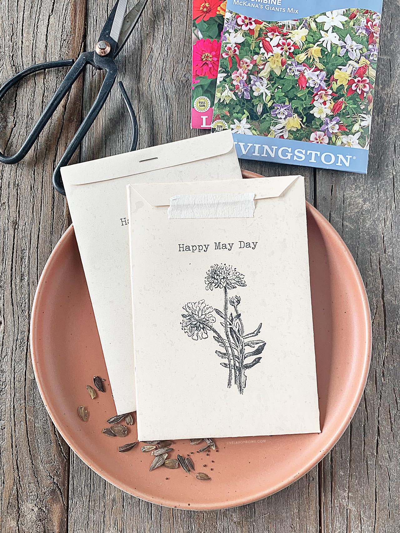 Seed Packet Printable