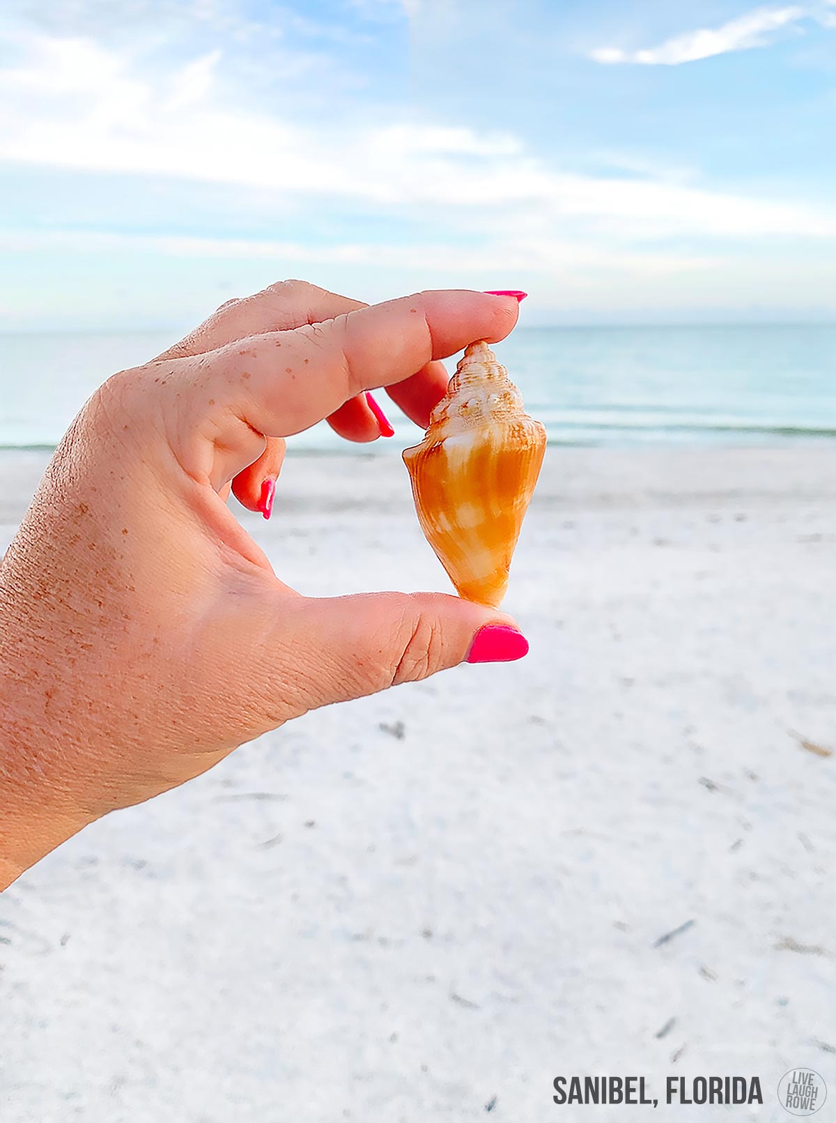 Shelling in Sanibel, FL