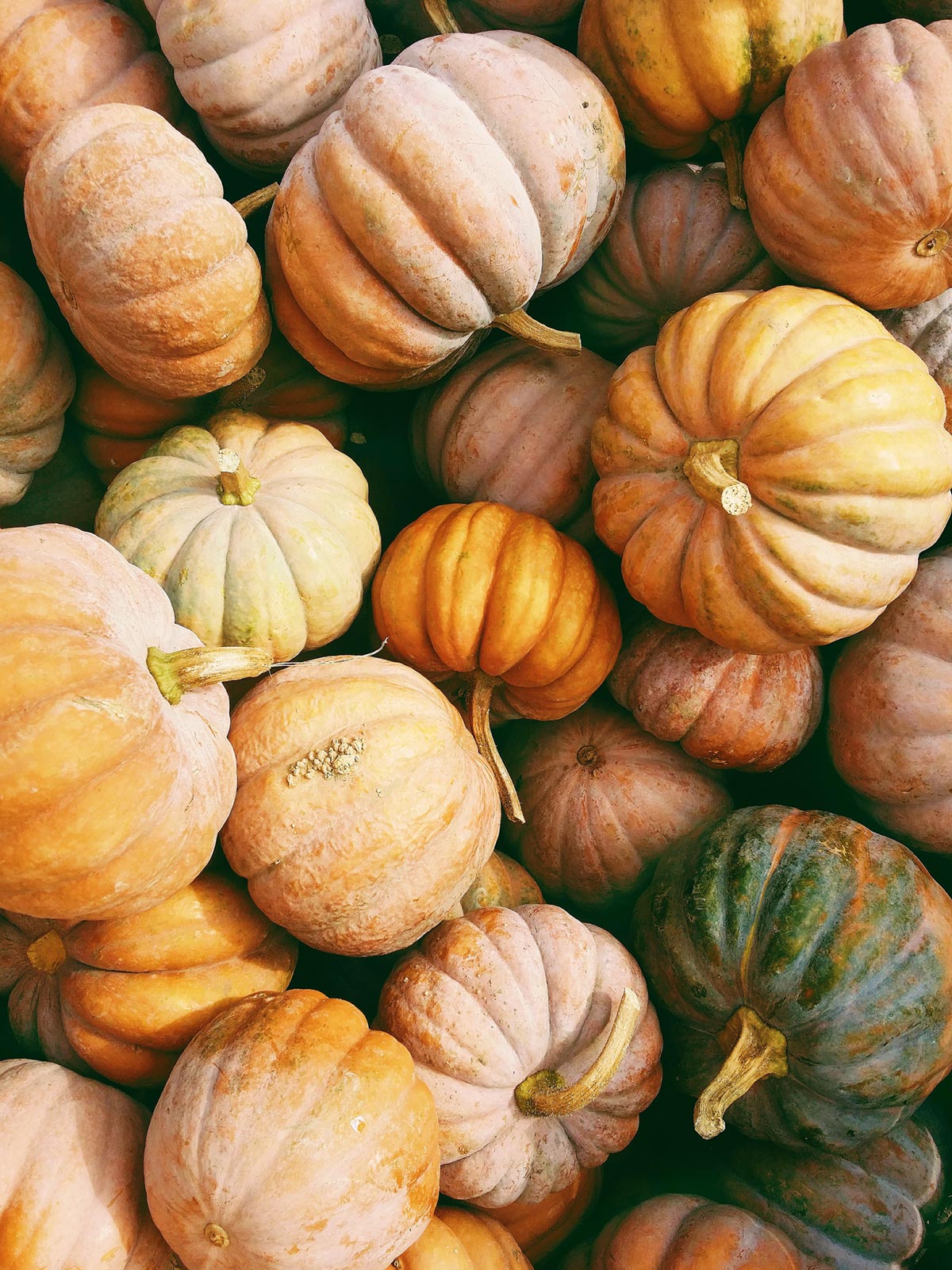 Pumpkins