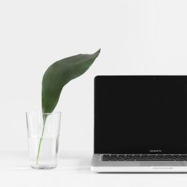 Laptop and Greenery