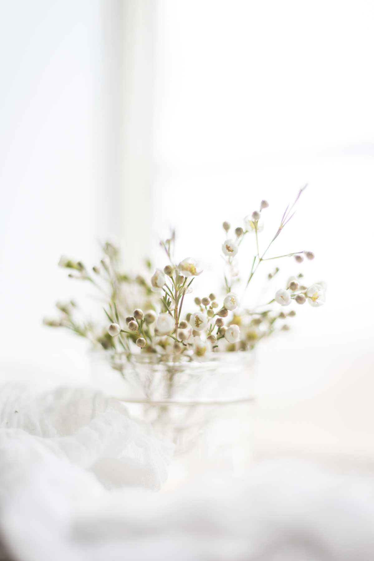 Wild Flowers in Jar