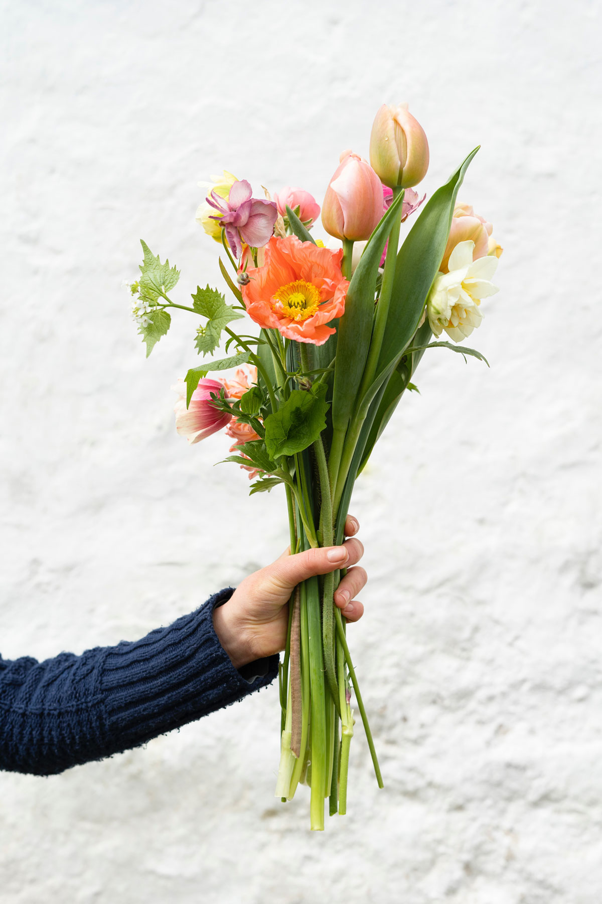 Spring Flowers