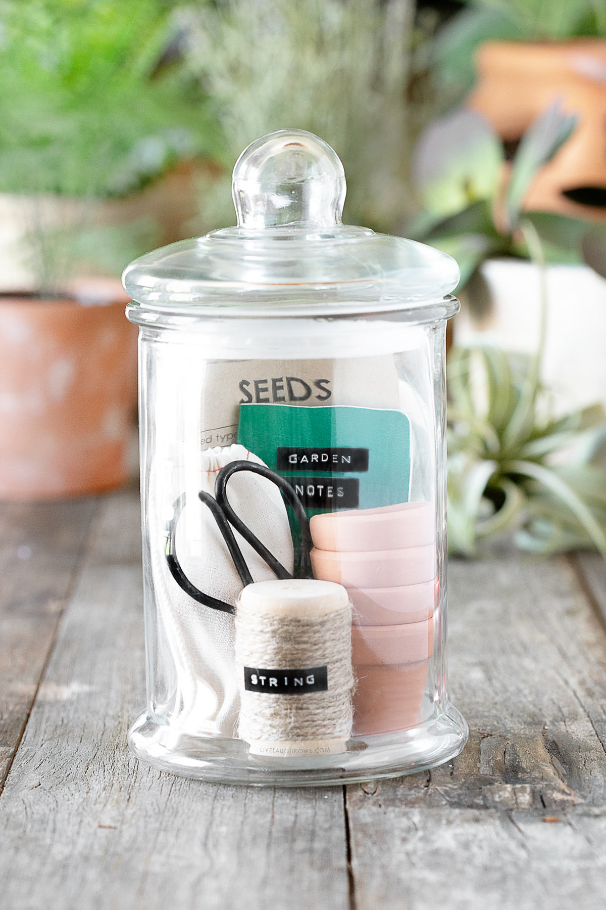 Jar Gift for Gardener Lovers