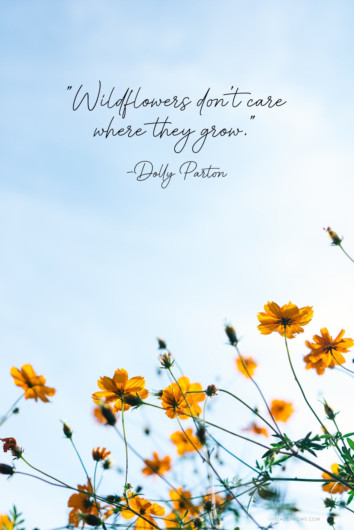 Wildflowers Quote by Dolly Parton