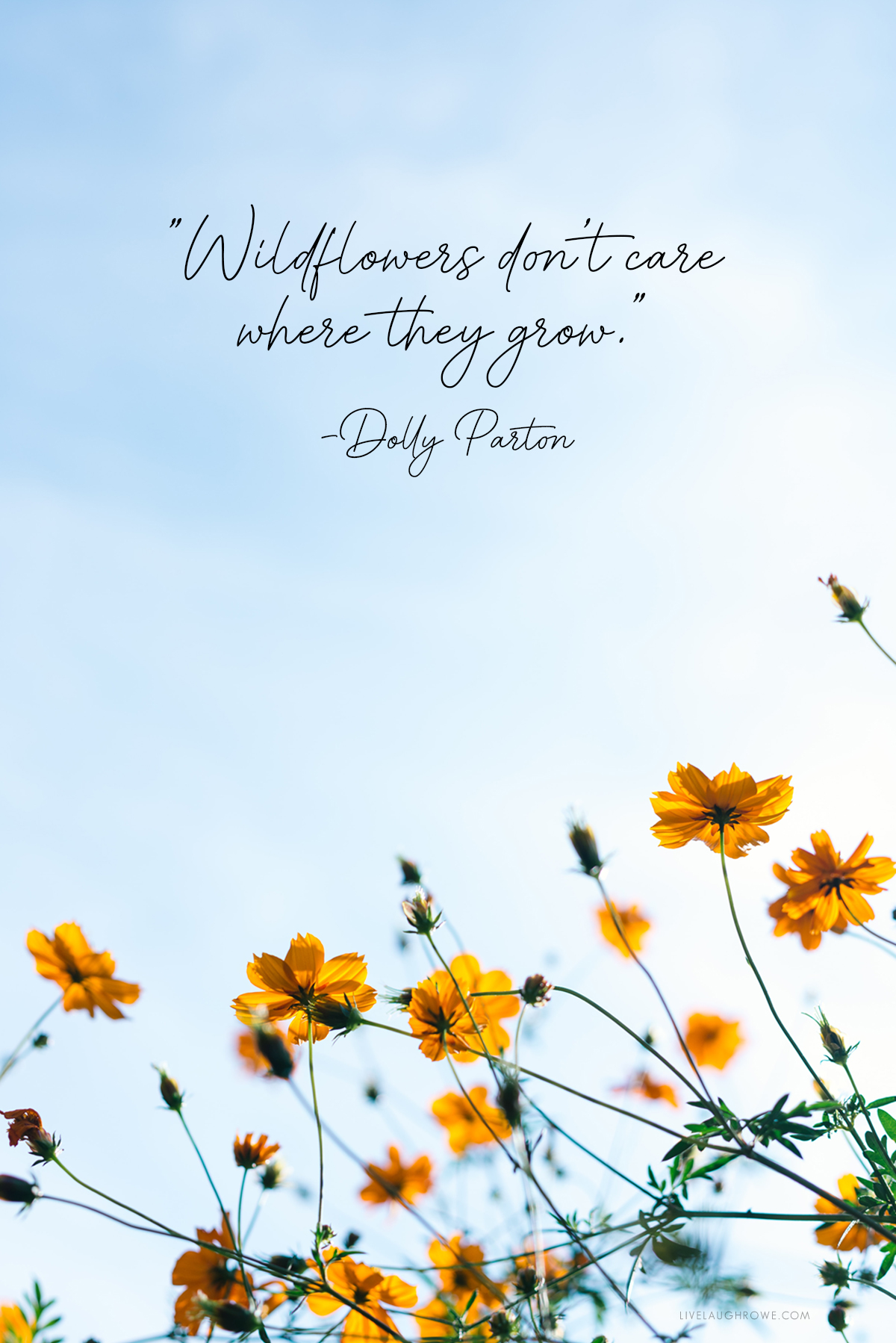 Wildflowers Quote by Dolly Parton