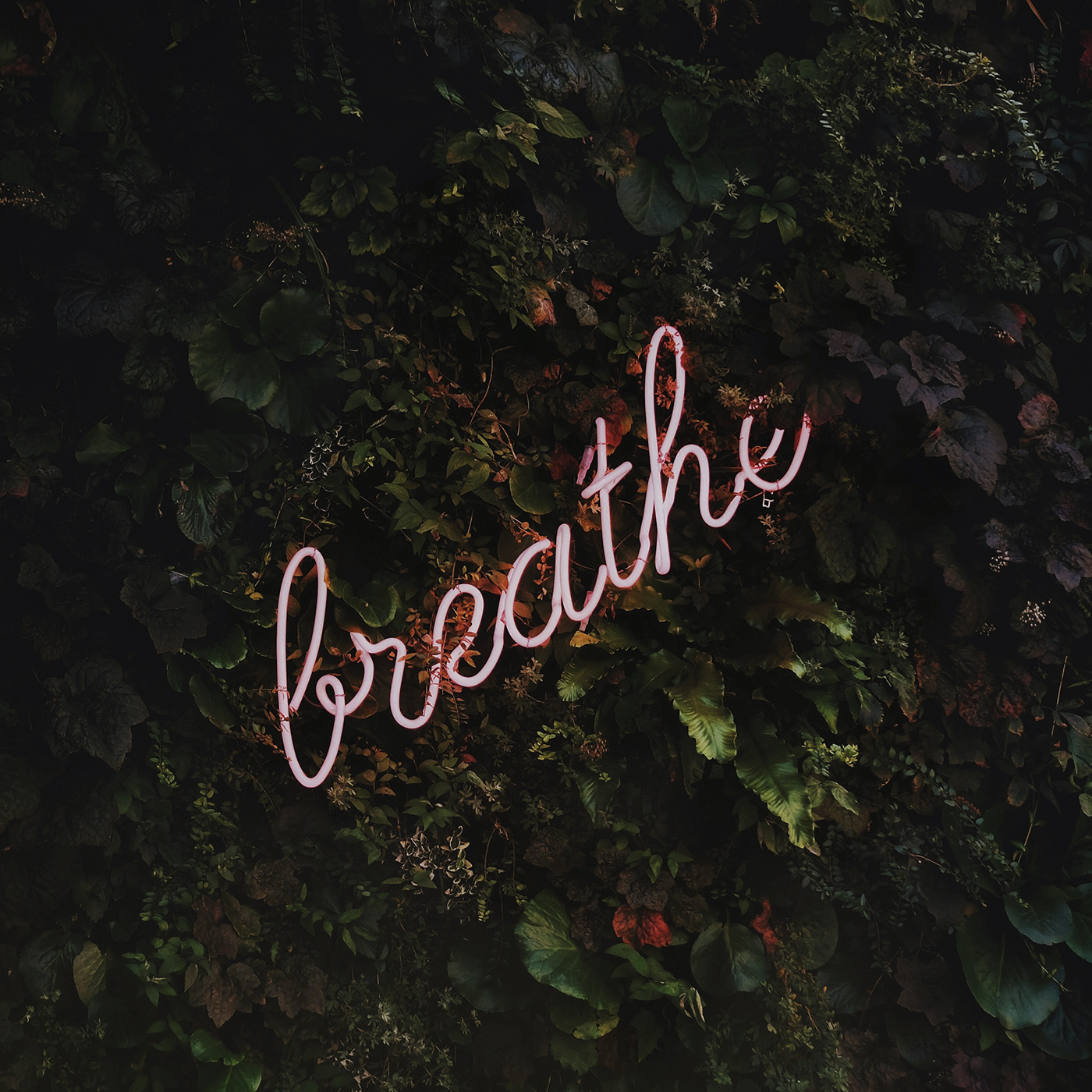 Breathe Neon Sign