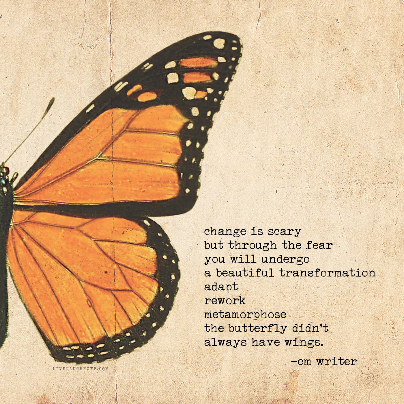 Butterfly graphic with a quote about change.