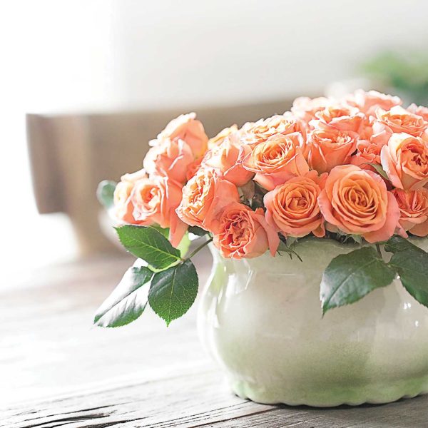 Peach Roses in a thrift store vase