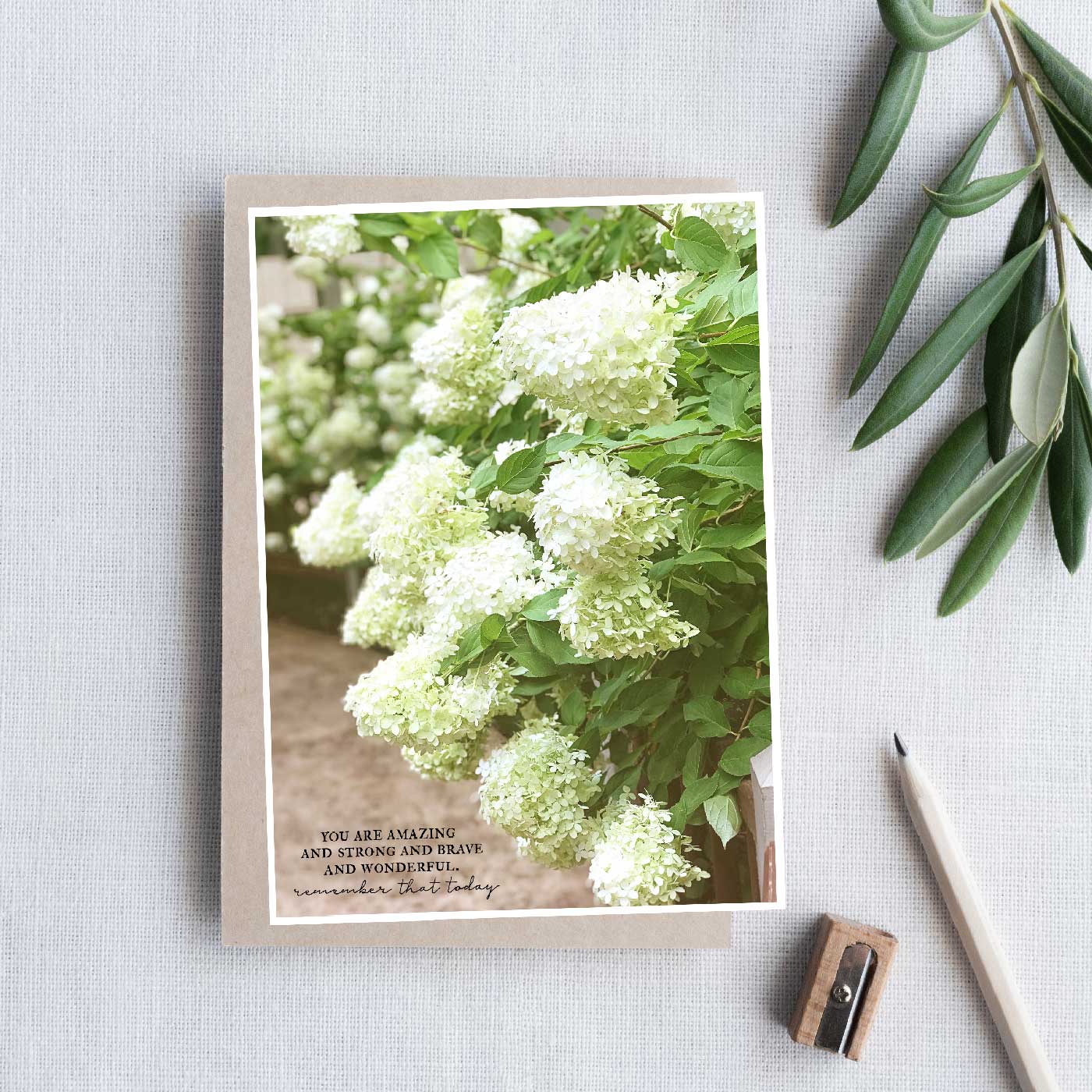 Hydrangeas and Words of Encouragement