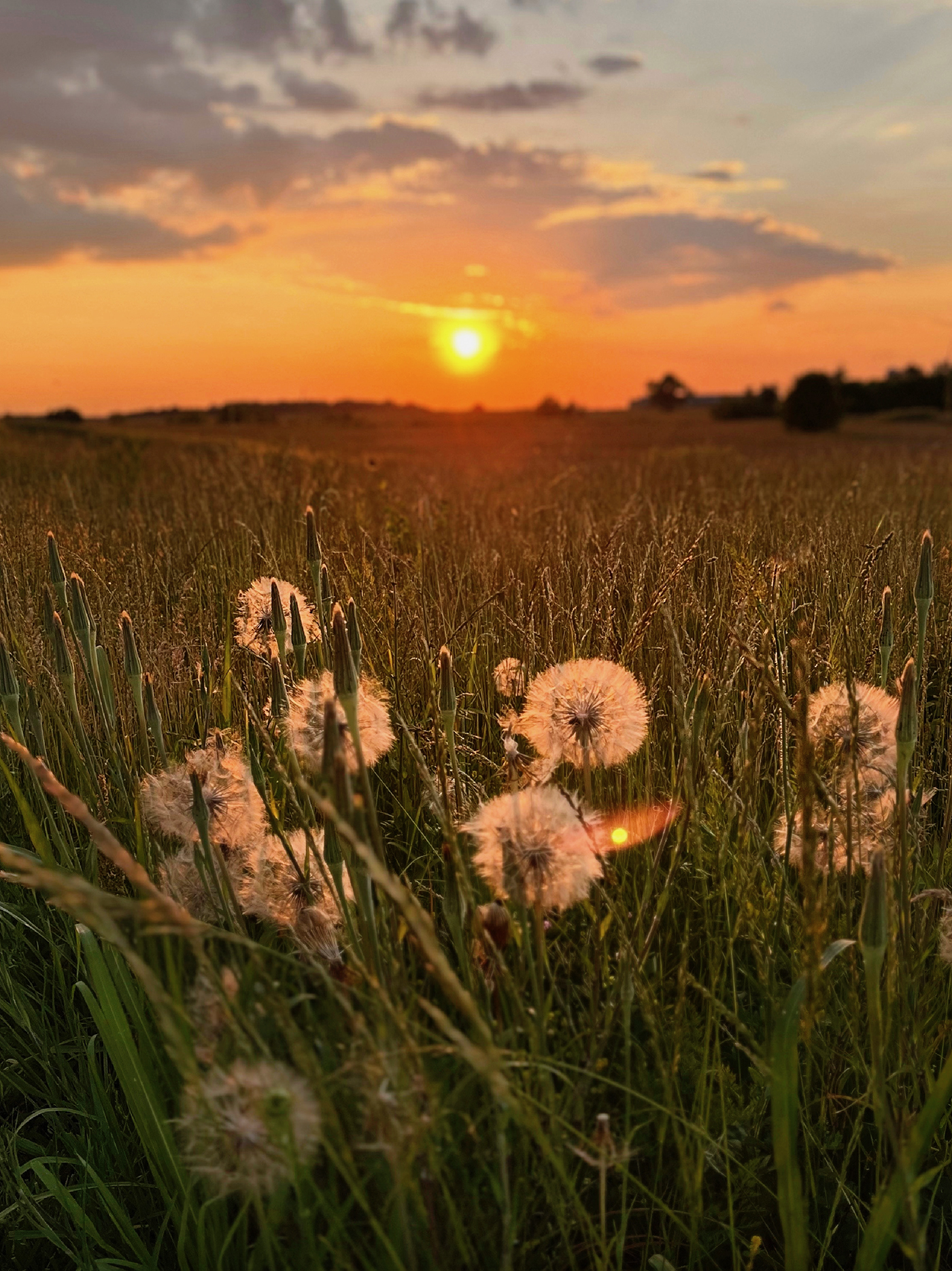 Rogersville, MO at Dusk. Sunset in the country.