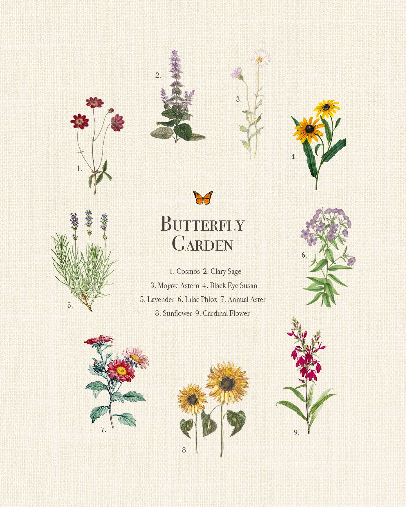 Butterfly Garden Print